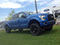 DSI lifted Ford F-150 2009